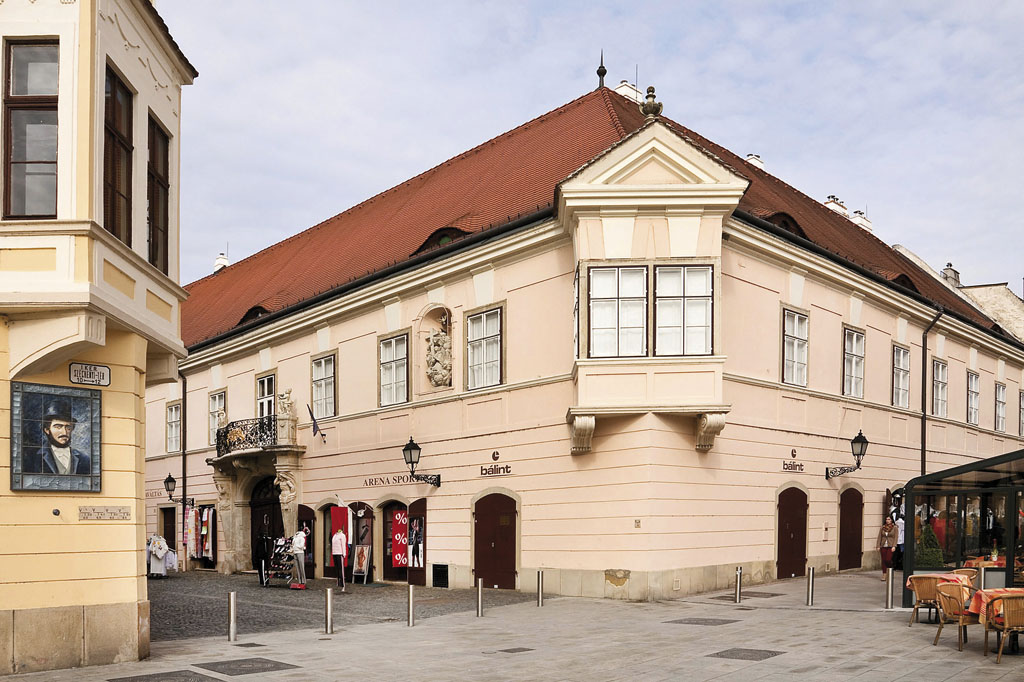 Esterházy-palota, Győr