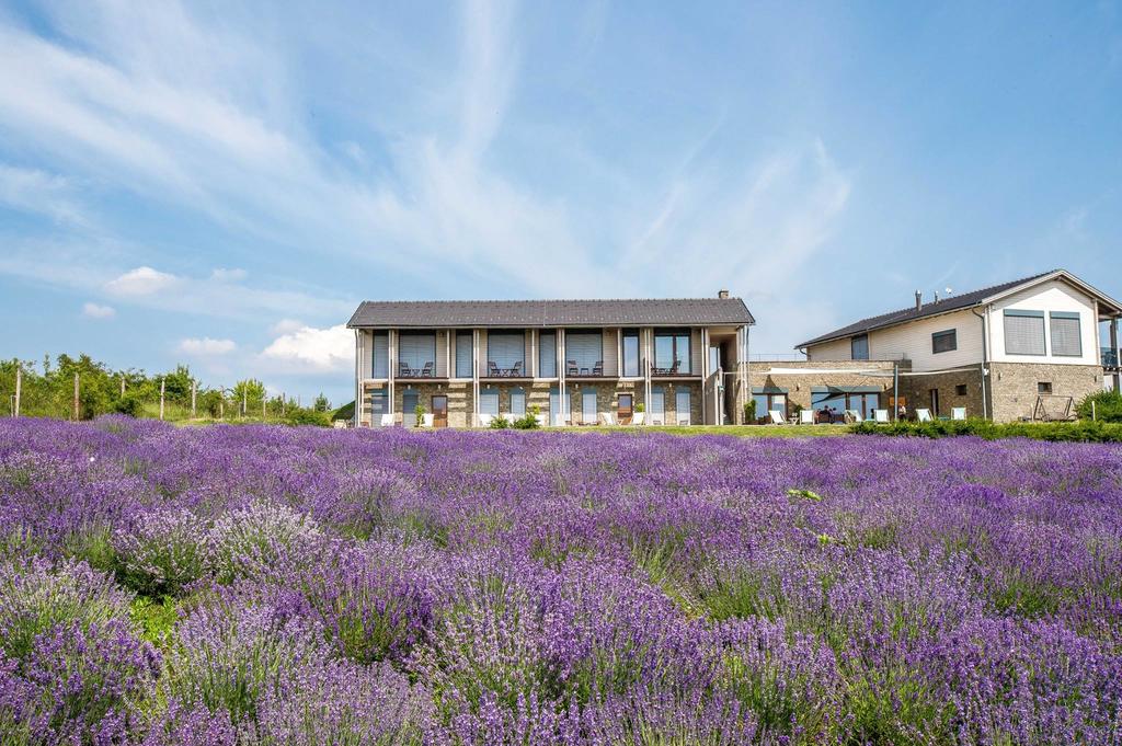 Natura Hill Vendégház és Étterem