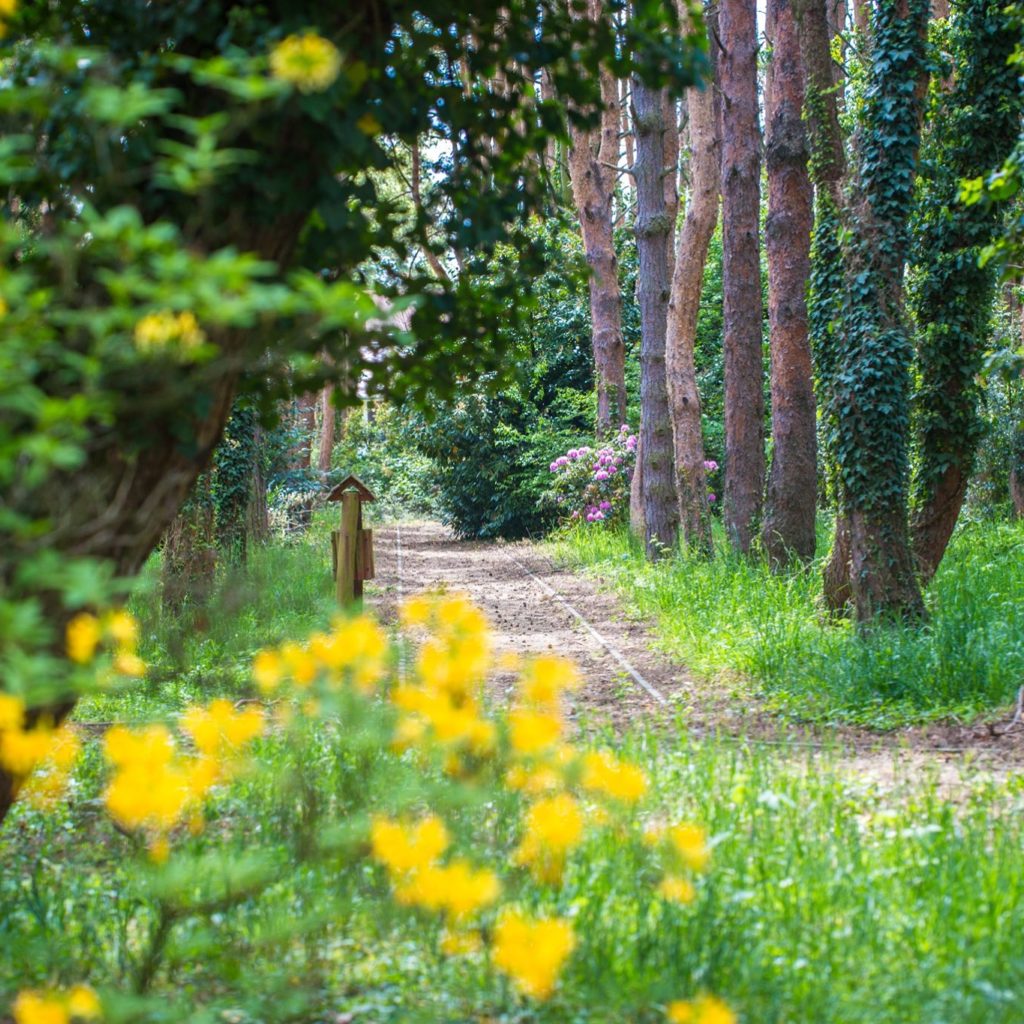 Kámoni Arborétum és Ökoturisztikai Látogatóközpont